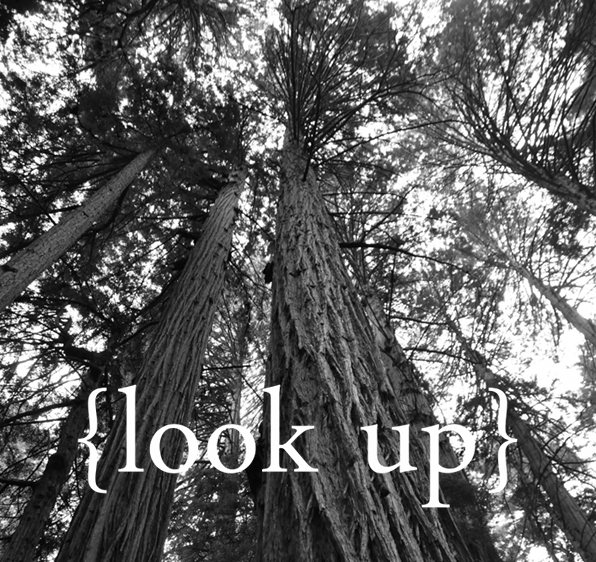 Look Up 1