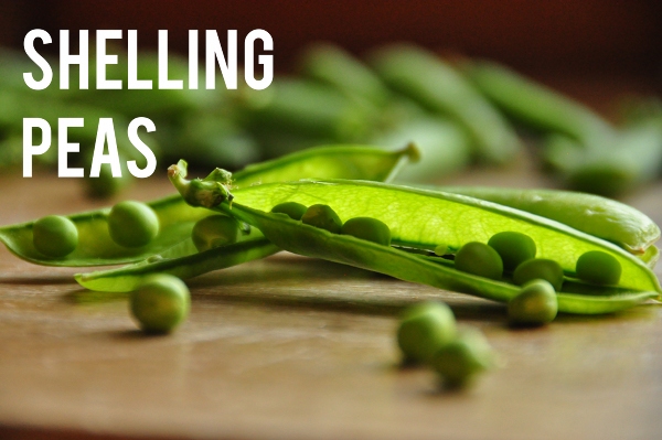 Shelling Peas
