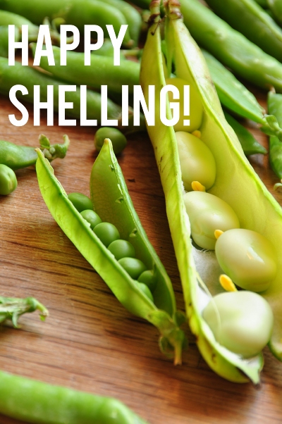 Shelling
